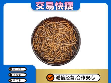 平凉市崆峒回收散虫草
